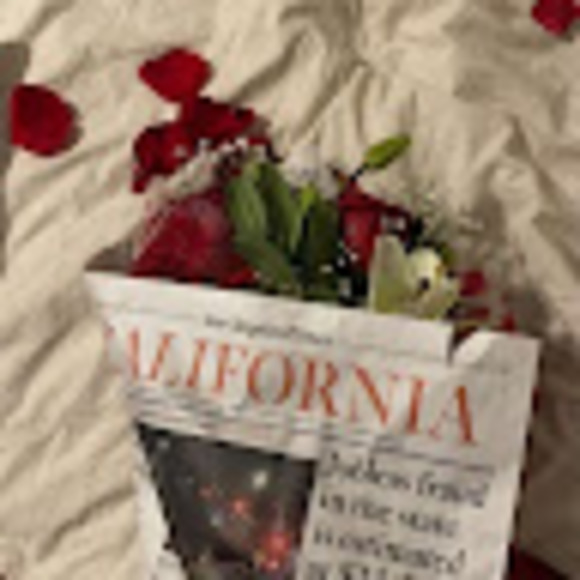 Meet your Posher, Arianna - Picture 1 of 1